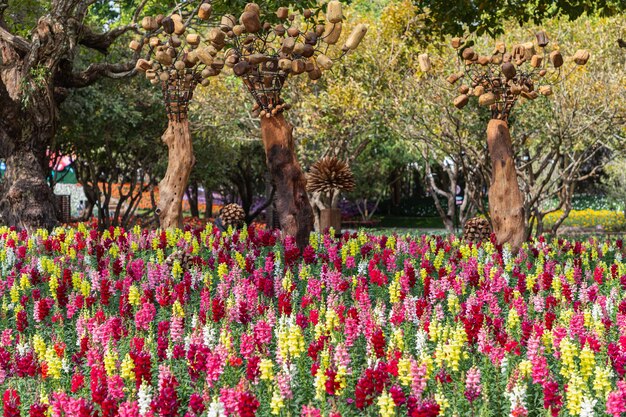 Hermosas flores de Antirrhinum majus o Snapdragon están floreciendo en el jardín