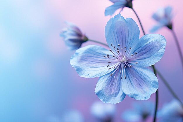 Hermosas flores azules en un fondo azul de primer plano Fondo floral
