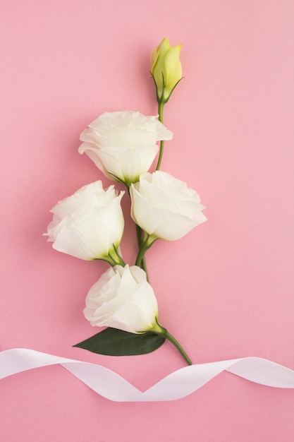 Hermosas flores blancas y cinta blanca