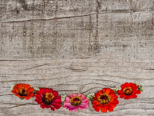 Hermosas flores brillantes sobre superficie de madera