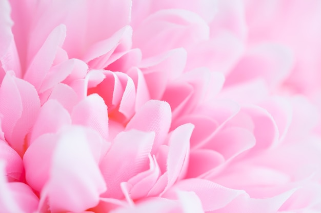 Hermosas flores de color rosa hechas con filtros de color, color suave y estilo de desenfoque de fondo