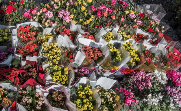 Foto hermosas flores como fondo