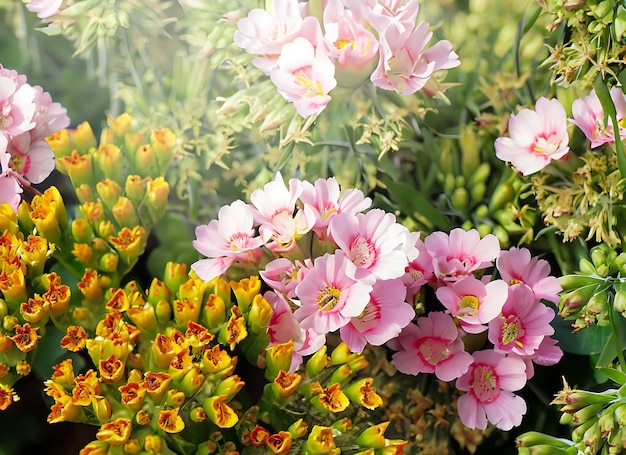 Hermosas flores como fondo