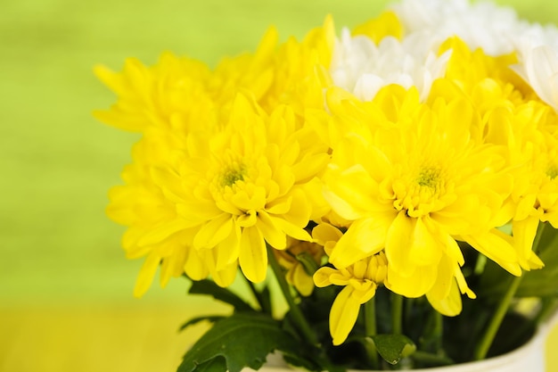 Hermosas flores de crisantemo sobre fondo de madera