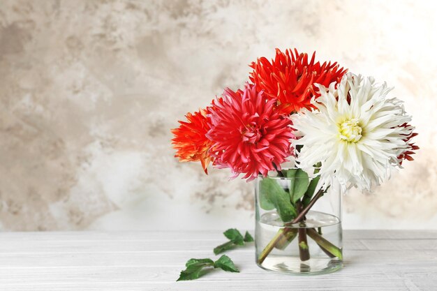 Hermosas flores de dalia en jarrón sobre fondo claro