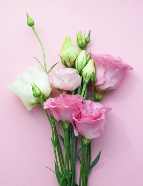 Hermosas flores de eustoma rosa (lisianthus) en plena floración con hojas de brotes. Ramo de flores sobre fondo rosa. Copia espacio