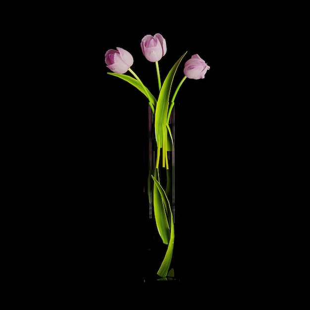 hermosas flores en un florero