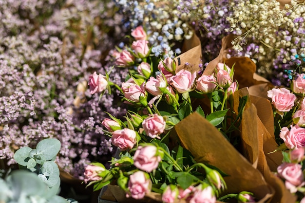 Hermosas flores frescas en flor