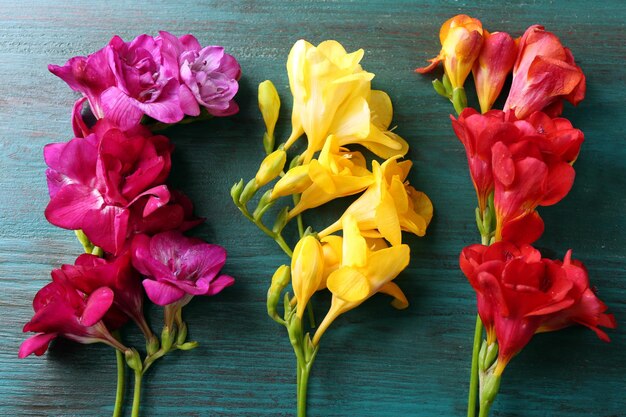 Hermosas flores de fresia sobre fondo de madera