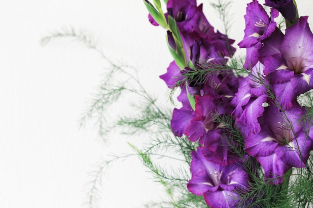 Hermosas flores de gladiolo violeta