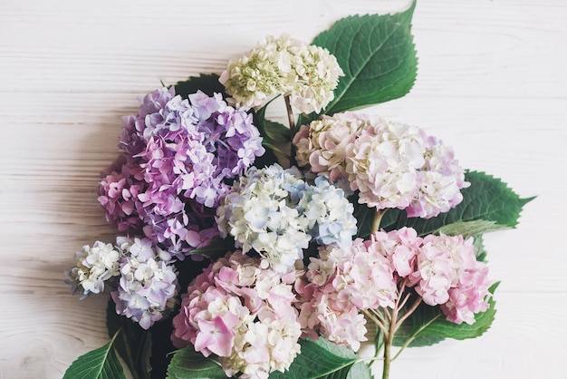 Foto hermosas flores de hortensia en madera blanca rústica plana lay colorido rosa azul verde blanco ramo de hortensia tarjeta de felicitación hola primavera feliz día de la madre día de la mujer