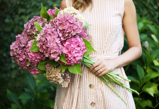 Hermosas flores de hortensia