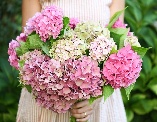 Hermosas flores de hortensia