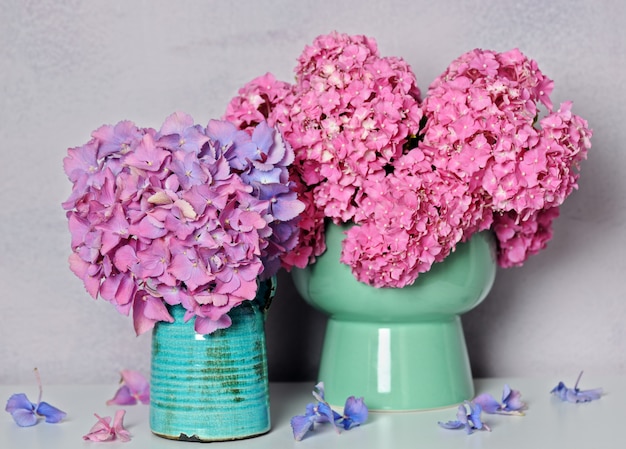 Hermosas flores de hortensia