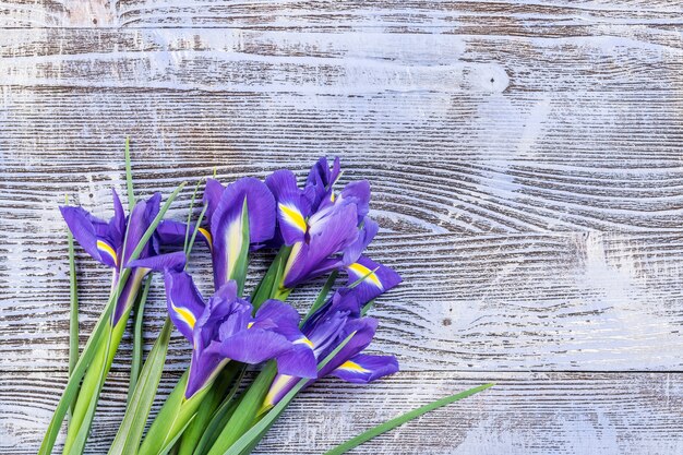 Hermosas flores de iris sobre fondo de madera, postal de vacaciones