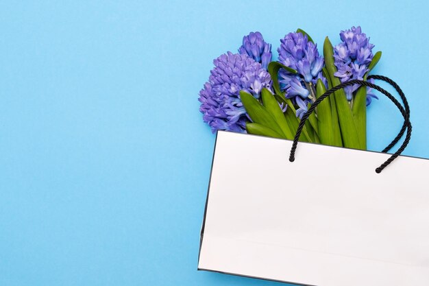 Hermosas flores de jacinto violeta sobre fondo azul.