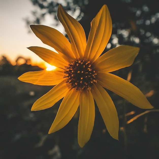 hermosas flores en el jardín