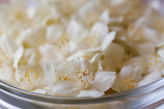 Hermosas flores de jazmín blanco en primer plano de un tazón de vidrio