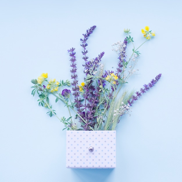 Foto hermosas flores de lavanda en la caja de lunares sobre el fondo azul