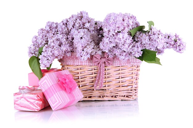 Hermosas flores lilas aisladas en blanco