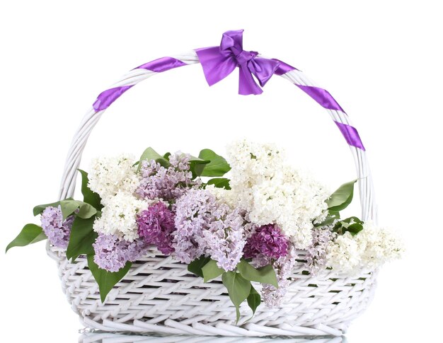 Hermosas flores lilas en cesta aislado en blanco