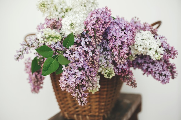 Hermosas flores lilas en cesta de mimbre en silla de madera Pétalos de lilas moradas y blancas de cerca composición floral en casa Primavera rústica naturaleza muerta en el fondo rural Día de la madre o boda