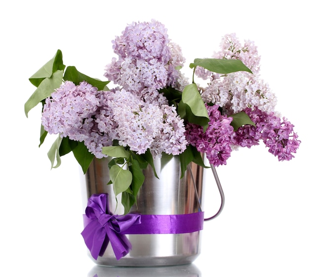 Hermosas flores lilas en cubo de metal sobre blanco