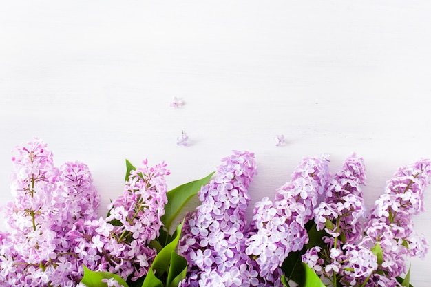 Hermosas flores lilas sobre fondo blanco.