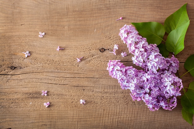 Hermosas flores lilas sobre fondo de madera