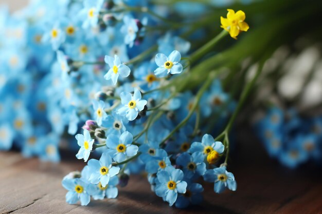 Hermosas flores de nomeolvides en primer plano de la mesa de madera