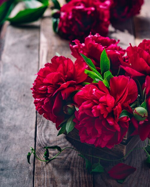 Hermosas flores de peonía marsala rojo rosa sobre mesa de madera rústica con espacio de copia para la vista superior del texto y estilo plano.