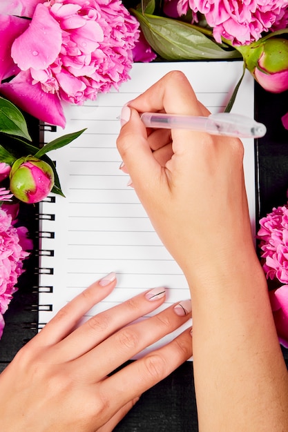 Hermosas flores de peonía rosa