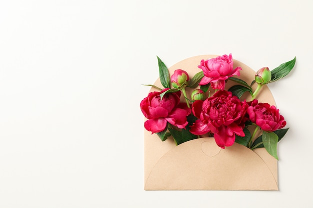 Hermosas flores de peonía en sobres sobre fondo blanco.