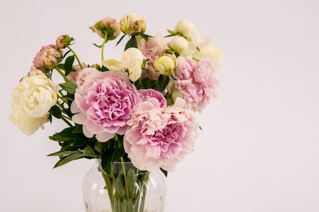 Hermosas flores de peonías en florero de vidrio aislado