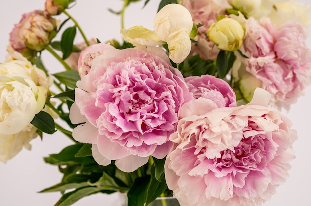 Hermosas flores de peonías en florero de vidrio aislado