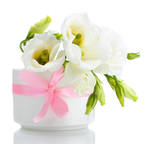 Hermosas flores de primavera en jarrón aislado en blanco