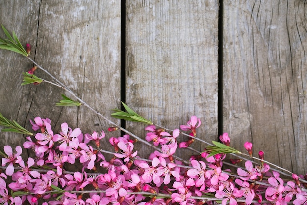 Hermosas flores de primavera en la mesa de madera antigua