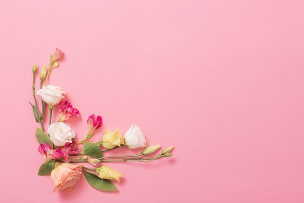 Hermosas flores de primavera sobre fondo rosa