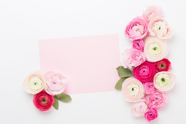 Foto hermosas flores de ranúnculo de colores sobre un fondo blanco. tarjeta de felicitación de papel en blanco