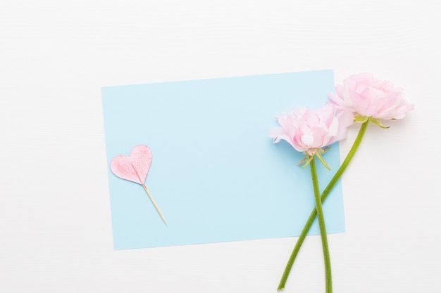 Foto hermosas flores de ranúnculo de colores sobre un fondo blanco.