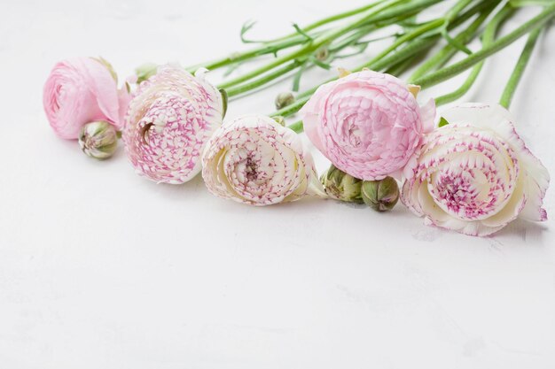 Hermosas flores de ranúnculo sobre mesa de piedra blanca Borde floral en color pastel Tarjeta de felicitación para