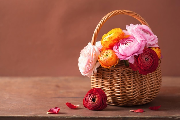 Hermosas flores de ranunculus en canasta