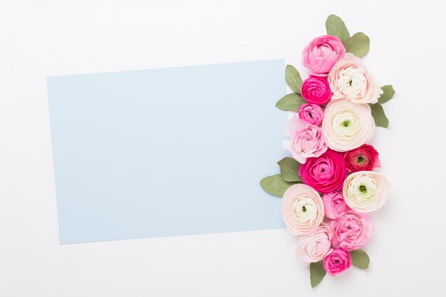 Hermosas flores de ranunculus de colores sobre un fondo blanco Tarjeta de felicitación del día de San Valentín