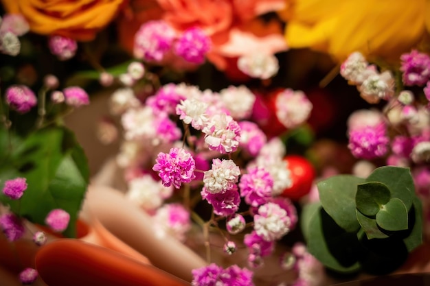 Hermosas flores para regalos navideños.