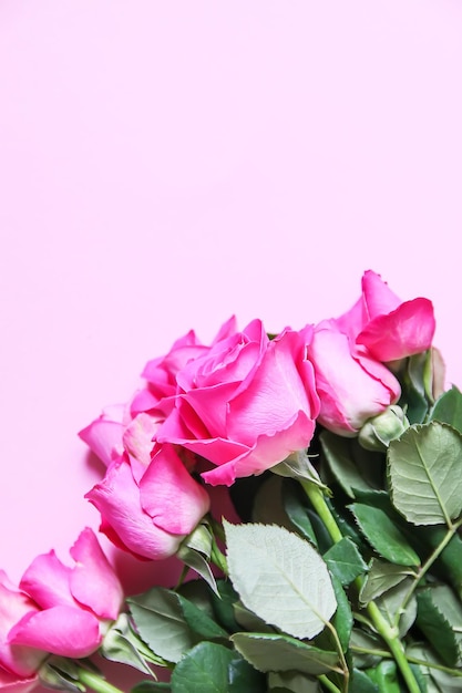 Hermosas flores de rosa rosa sobre un fondo suave