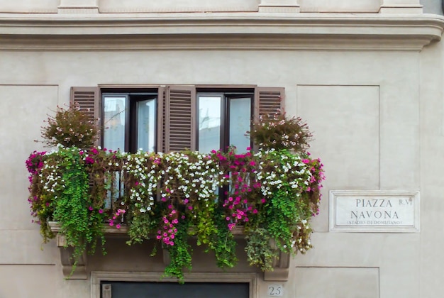 Foto hermosas flores rosadas y blancas en un antiguo balcón en la calle piazza navona roma italia