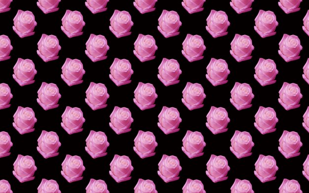 Hermosas flores rosas rosadas Patrón sin costuras de rosas florecientes Fondo natural floral