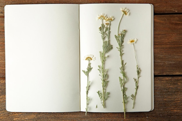 Foto hermosas flores secas en un cuaderno sobre un fondo de madera