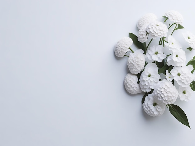 Hermosas flores sobre un fondo blanco colocado en plano Espacio para el texto