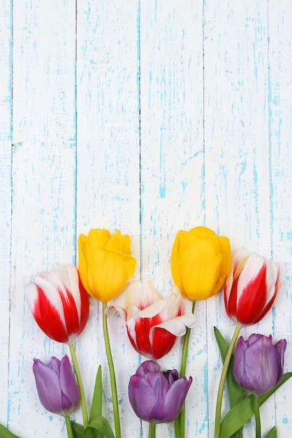 Hermosas flores sobre fondo de madera de color